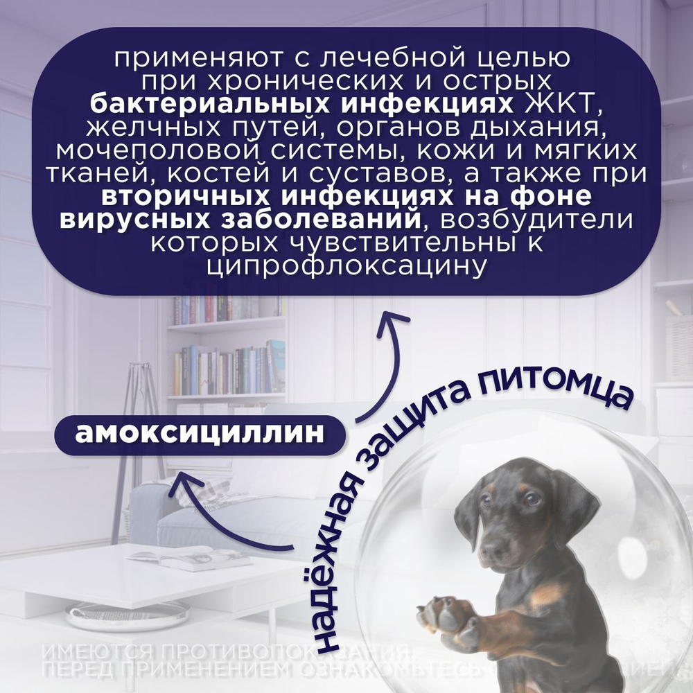 Антибактериальный препарат АВЗ Ципровет для крупных и средних собак, 10 таблеток