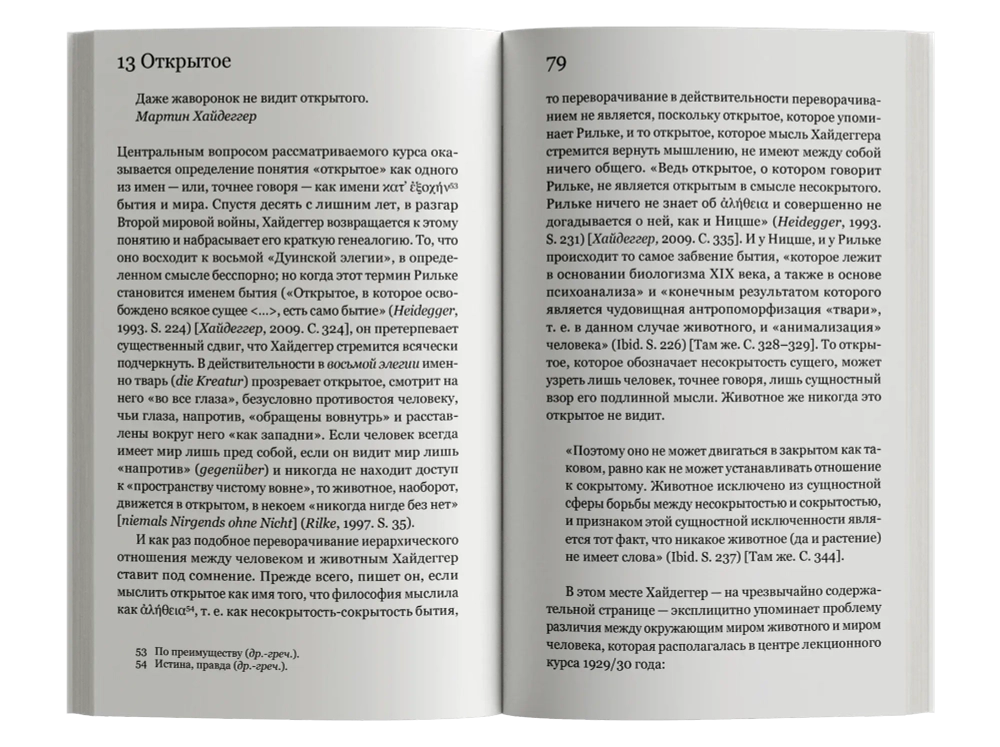 Открытое. Человек и животное