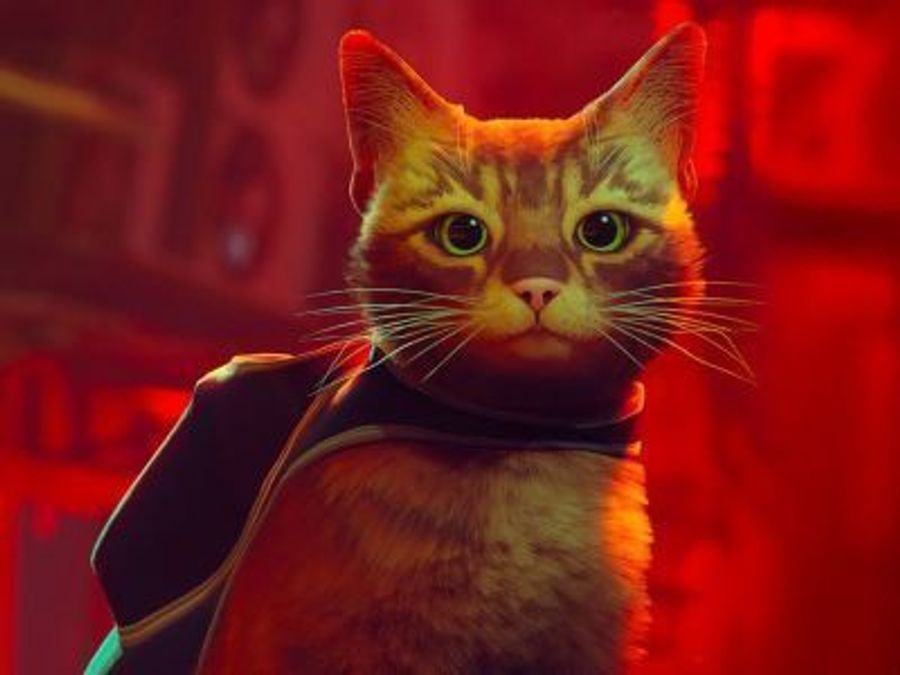 Все сотрудники издателя Annapurna Interactive уволились