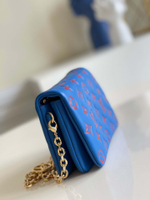 Louis Vuitton Pochette Coussin