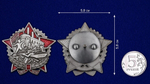 Знак "Герою октябрьских и январских событий 1917–1918 гг."