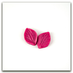 Листья хризантемы. Набор 1