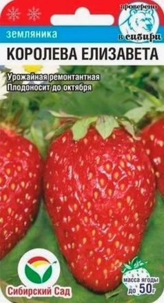 Ремонтантная