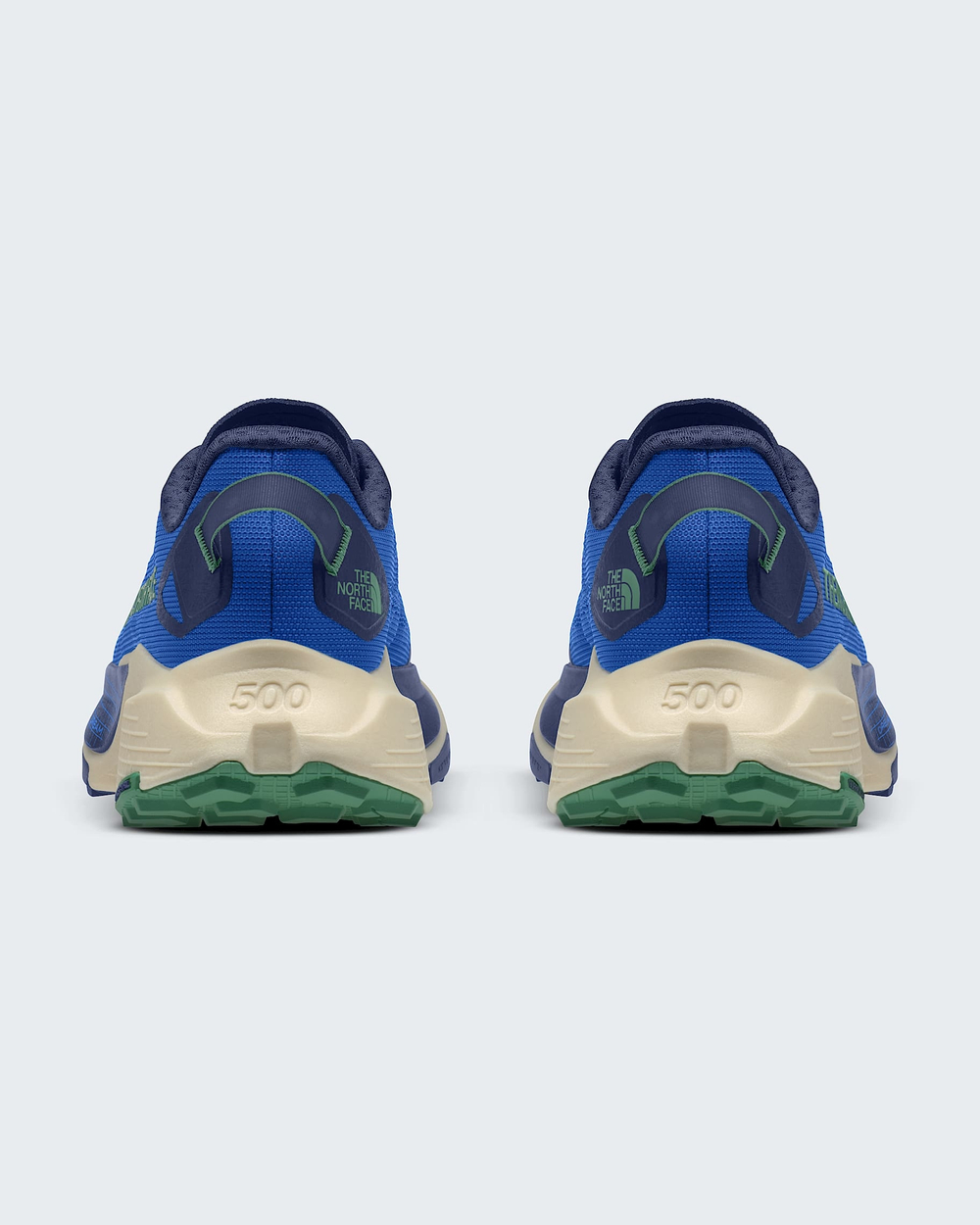 Кроссовки для бега The North Face ALTAMESA 500 V2 Blue/Dimmed Algae
