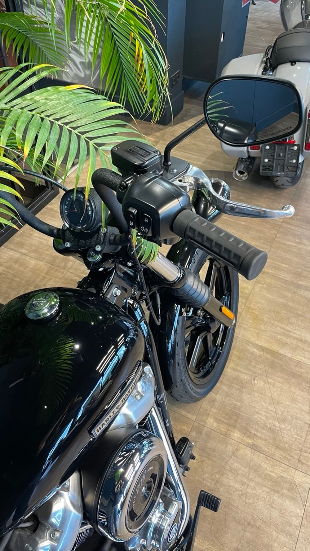 Harley-Davidson Street Bob 117 (2025)