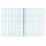 Тетради предметные, КОМПЛЕКТ 13 ПРЕДМЕТОВ, 48 л., обложка картон, BRAUBERG "КЛАССИКА ПРИРОДА", 405165