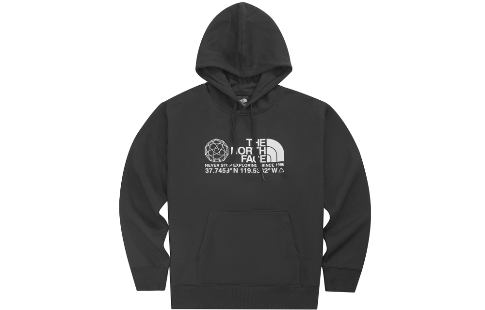 Худи THE NORTH FACE FW22 Logo, NF0A7W87-JK3