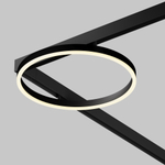 Магнитный трековый светильник Maytoni EXILITY Rim TR227-2-24W3K-B