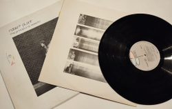 Винтажная виниловая пластинка LP Robert Plant The Principle Of Moments (Germany 1983)