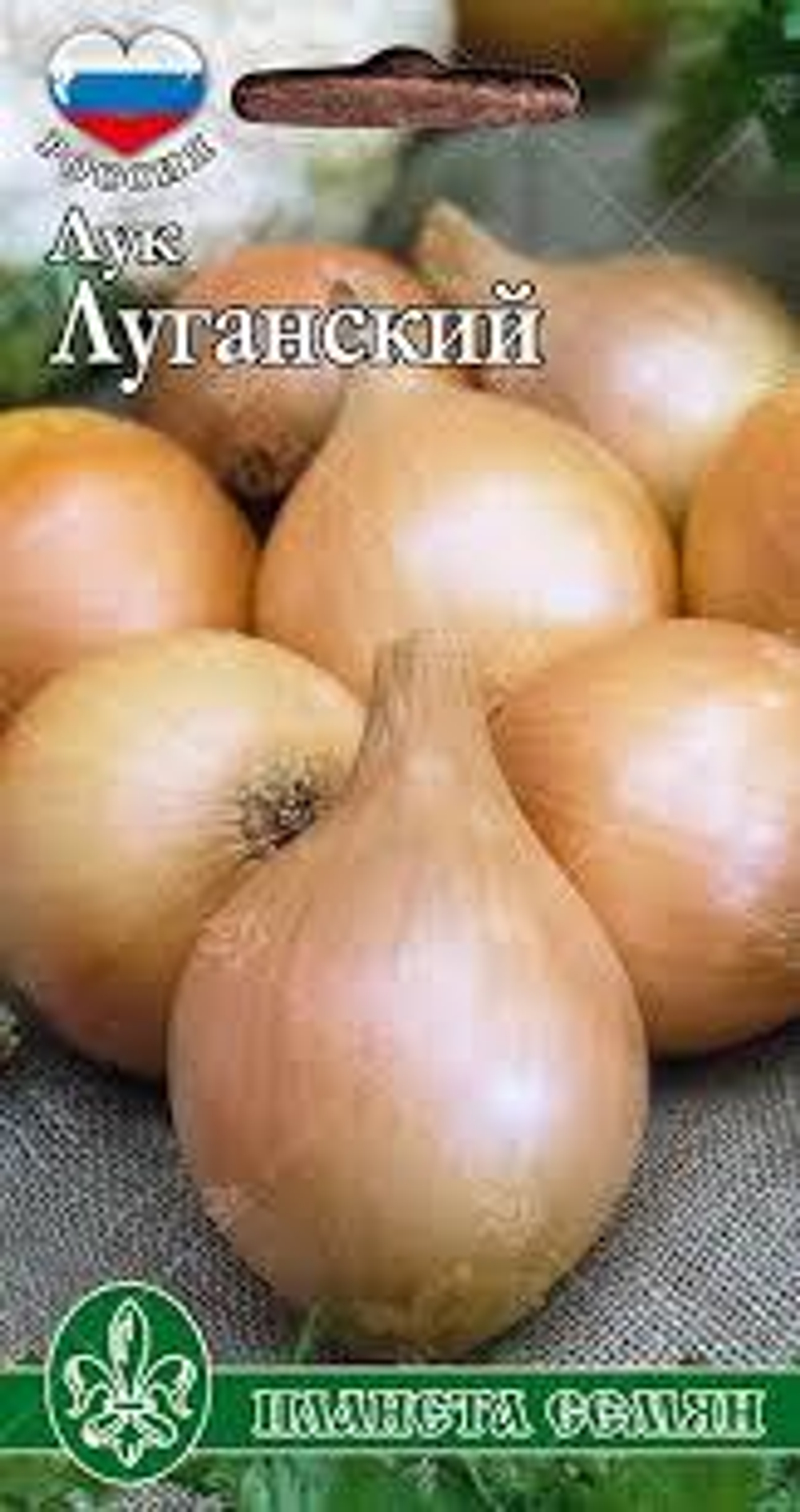 Лук Луганский