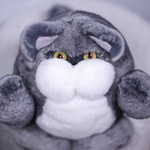 Кот Марсель (серый)