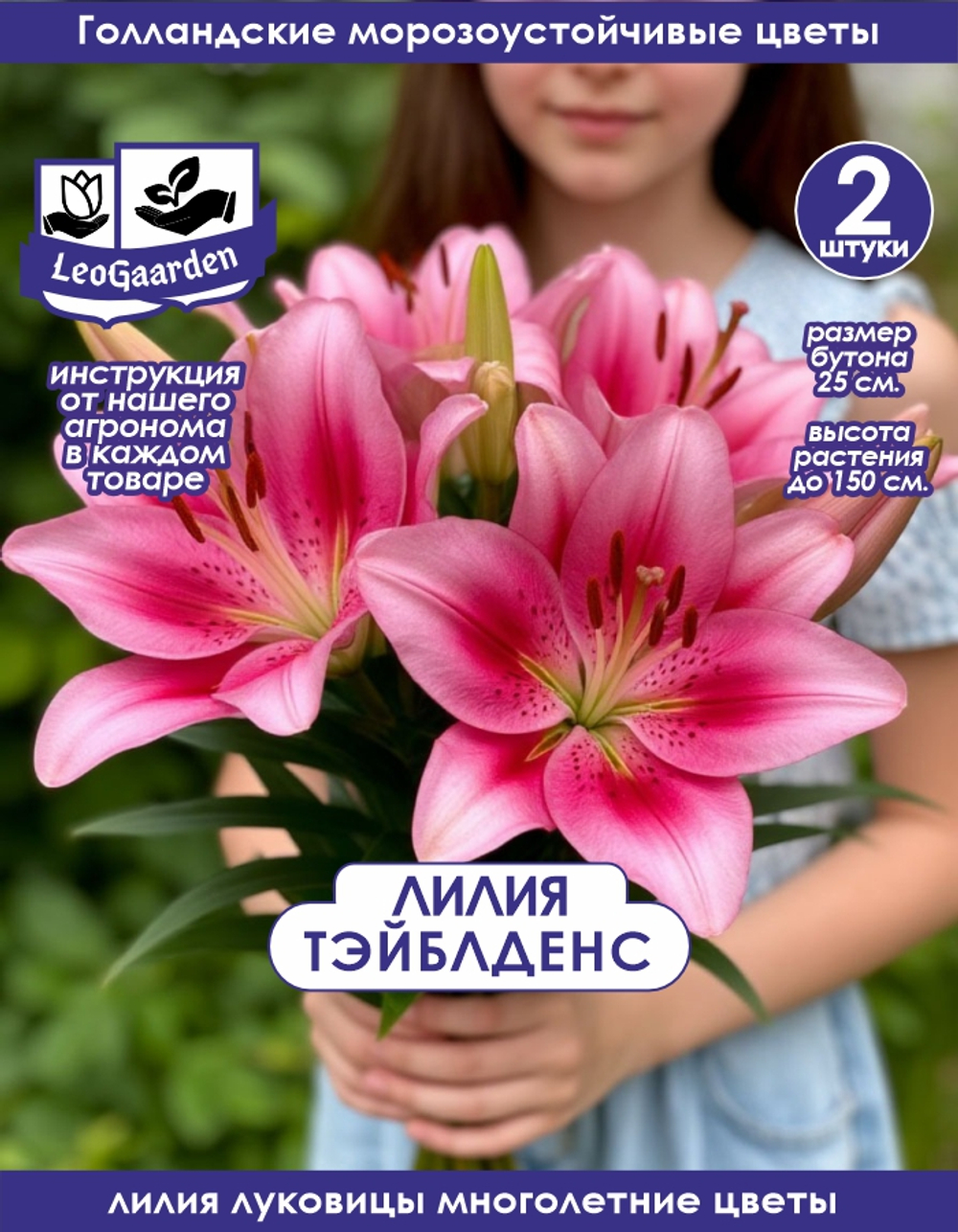 Лилия Луковица, Тэйблденс, 2 шт