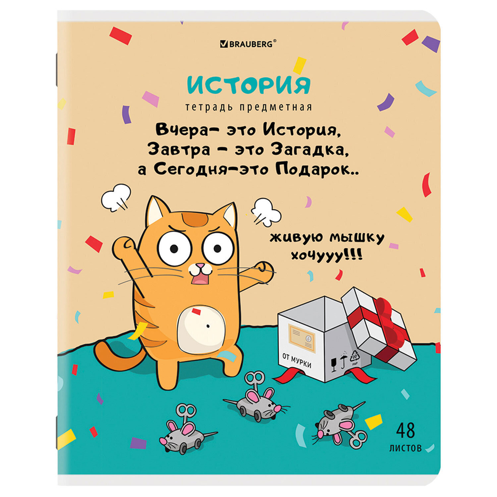 Тетради предметные комплект 12 ПРЕДМЕТОВ 48 л. TWIN-лак BRAUBERG "КОТ-ЭНТУЗИАСТ" (2 штуки в упаковке)