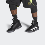 Кроссовки Adidas Pro Next 2019