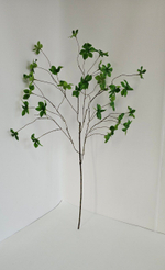 Шеффлера Компакта / Арт 1079