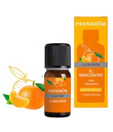 Встреча, смесь эфирных масел для ультразвукового диффузора, Pranarom