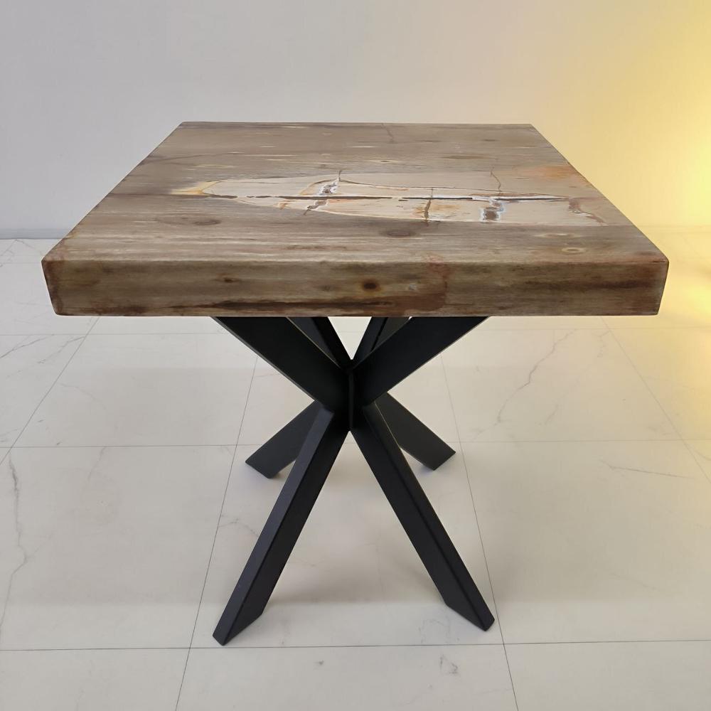 Столешница из окаменелого дерева ST-64188 Богор (0149) 50*50*15