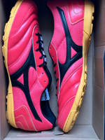 Сороконожки Mizuno Morelia Sala Club TF