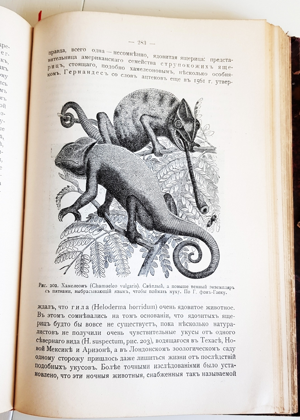 "Эволюция мира. Werden und vergehen. Том 2". Карус Штерне. 1909 г.