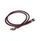 Tchernov Cable Classic XS MkII AE IC 2RCA - 2RCA 1 m