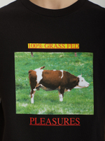 Мужская Футболка Grass Fed