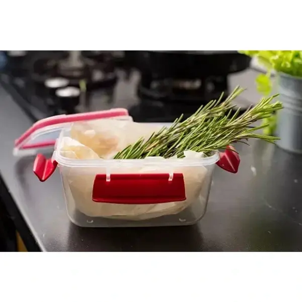 Контейнер для продуктов 0,75л «BUTTERFLY» красный