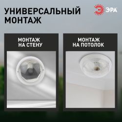 Светильник ЭРА НБП 06-60-101 с фото-шумовым датчиком Сириус IP54 E27 max 60Вт D220 круг призма акустический | Светильники ЖКХ РБ