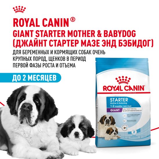Royal Canin Giant Starter Mother & Babydog для щенков до 2-х месяцев, беременных и кормящих сук очень крупных пород