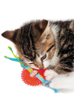 Petstages игрушка для кошек Dental "ОРКА колесико"