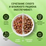 Курочка в желе, 85г влажный корм для кошек KiteKat