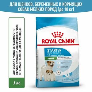 Уценка! Срок до 06.2024/ Корм для щенков мелких пород до 2-х месяцев, Royal Canin Mini Starter Mother & Babydog