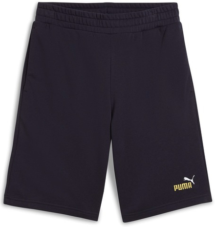 Шорты спортивные мужские PUMA ESS 2 COLOR No. 1 Logo Shorts 10" TR