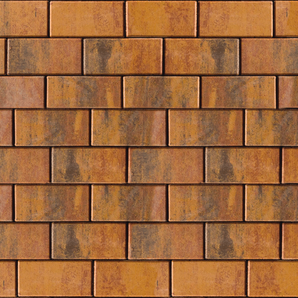 Тротуарная плитка форма Прямоугольник коллекция Листопад гладкий