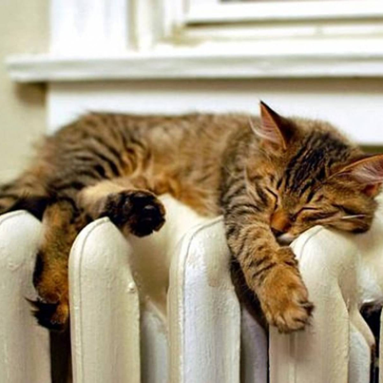 Доверьте тепло нам!