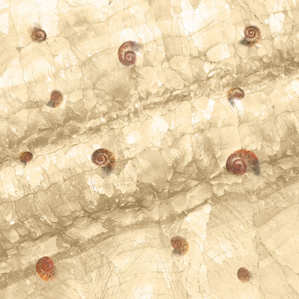 Коллекция Текстуры и фактуры