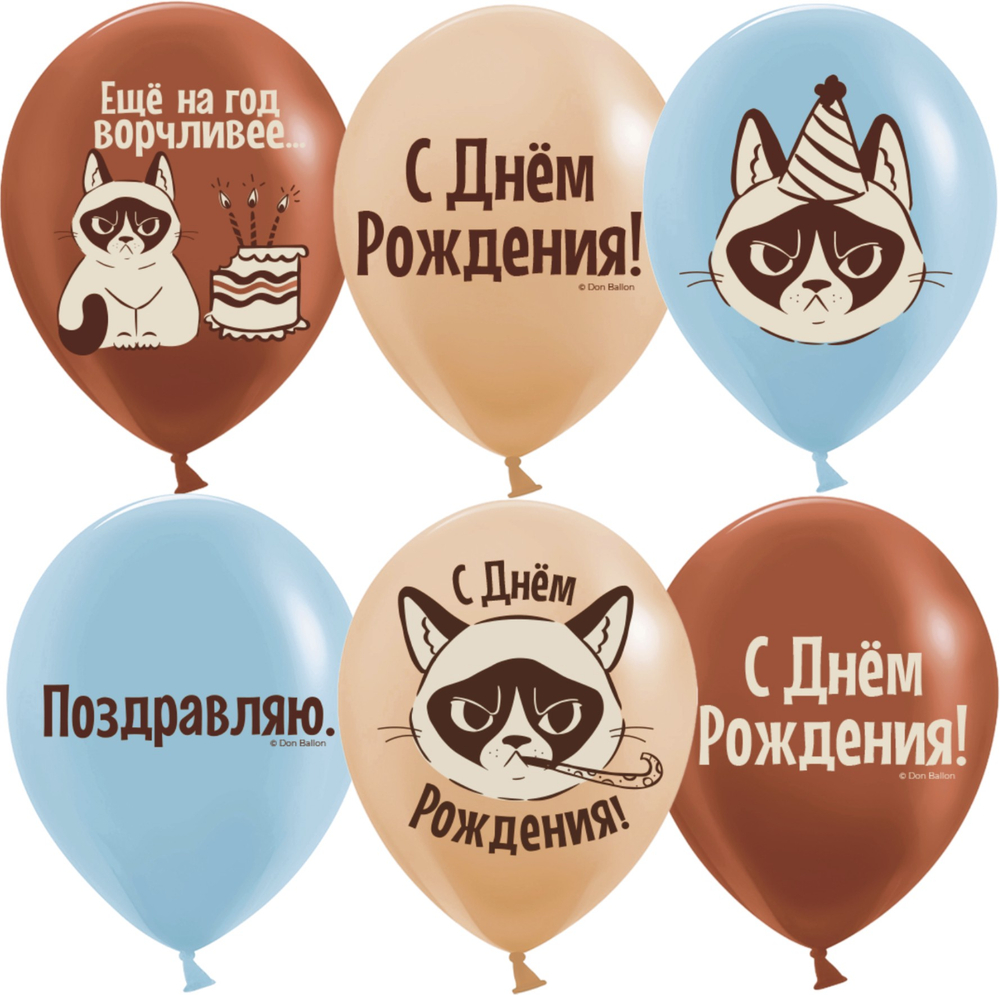 Шар 12" Ассорти С Днем Рождения, сердитая кошка ДБ 10 шт