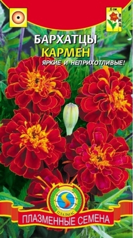 Бархатцы Кармен