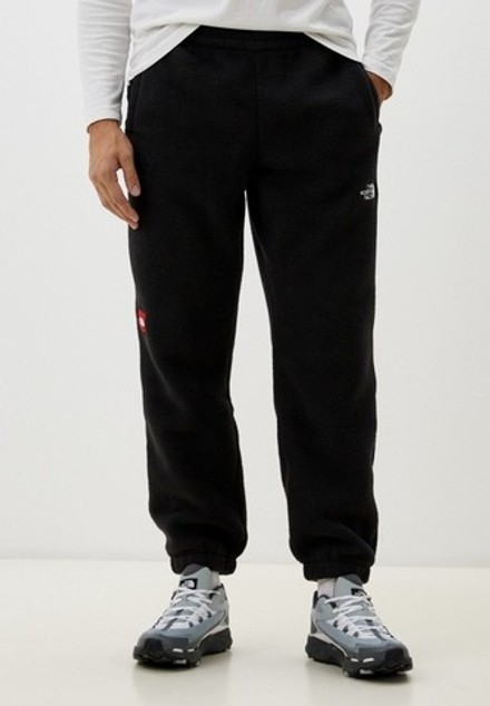 THE NORTH FACE / Брюки спортивные мужские