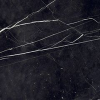 Staro Oasis Conical Black High Gloss 60x60