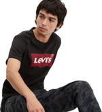 Футболка Levis Levi's Original GRAPHIC SETIN NECK GRAPHIC H215HM BLA