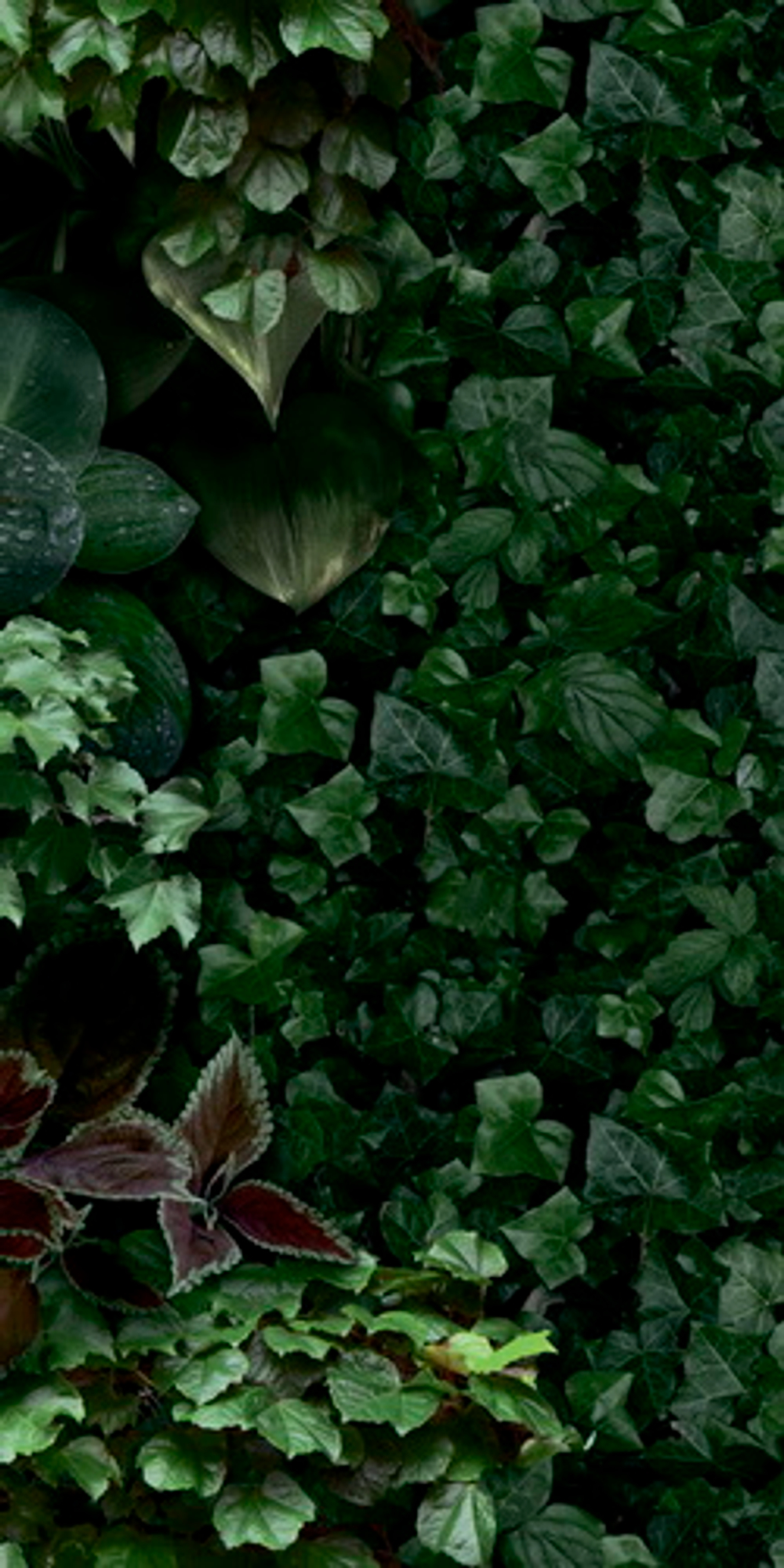 Декоративные элементы 41zero42 PAPER41 PRO JANE D 50х110