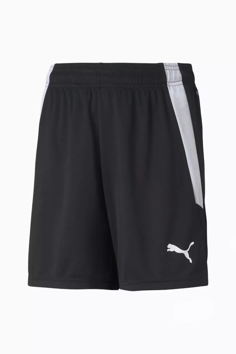 Шорты Puma teamLIGA Junior