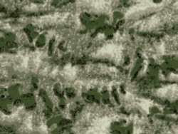 Ткань курточная Prival Oxford 210D PU 1000, 120г/м2, 1.5х4м, принт камуфляж Мох