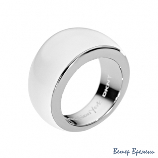 Бижутерия DKNY NJ1943040 (180)