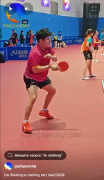 Butterfly LEZOLINE 17