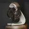 Focal Clear MG