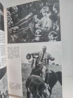 Белый дом: президенты и политика