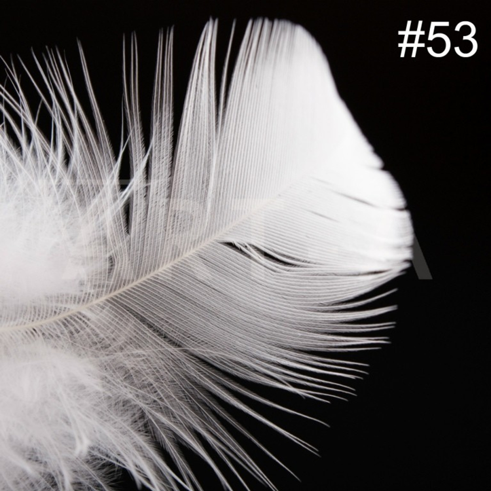 Art-A Фотофон виниловый безбликовый 53, 40-45см