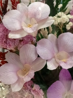 натуральные цветы в стекле, вакуум