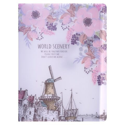 Папка А4, Города 30 прозрачных файлов, пластик, 400 мкм, МИКС